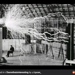 Meet your Posher, Wayne